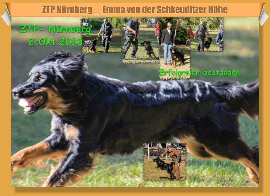 ZTP Nürnberg _  Emma von der Schkeuditzer Höhe